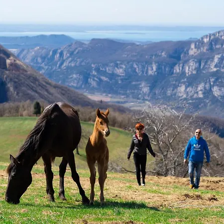 Lessinia Oda ve Kahvaltı